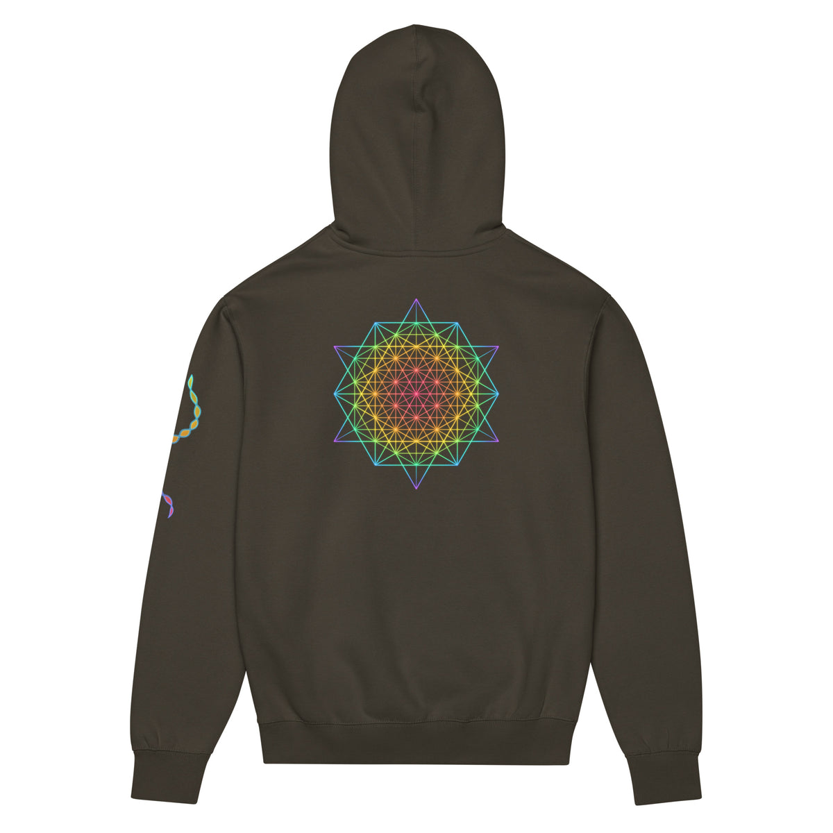 DNA Matrix box hoodie in Vintage Black, back view: rainbow star-shaped line grid on the upper back, helix on the left sleeve