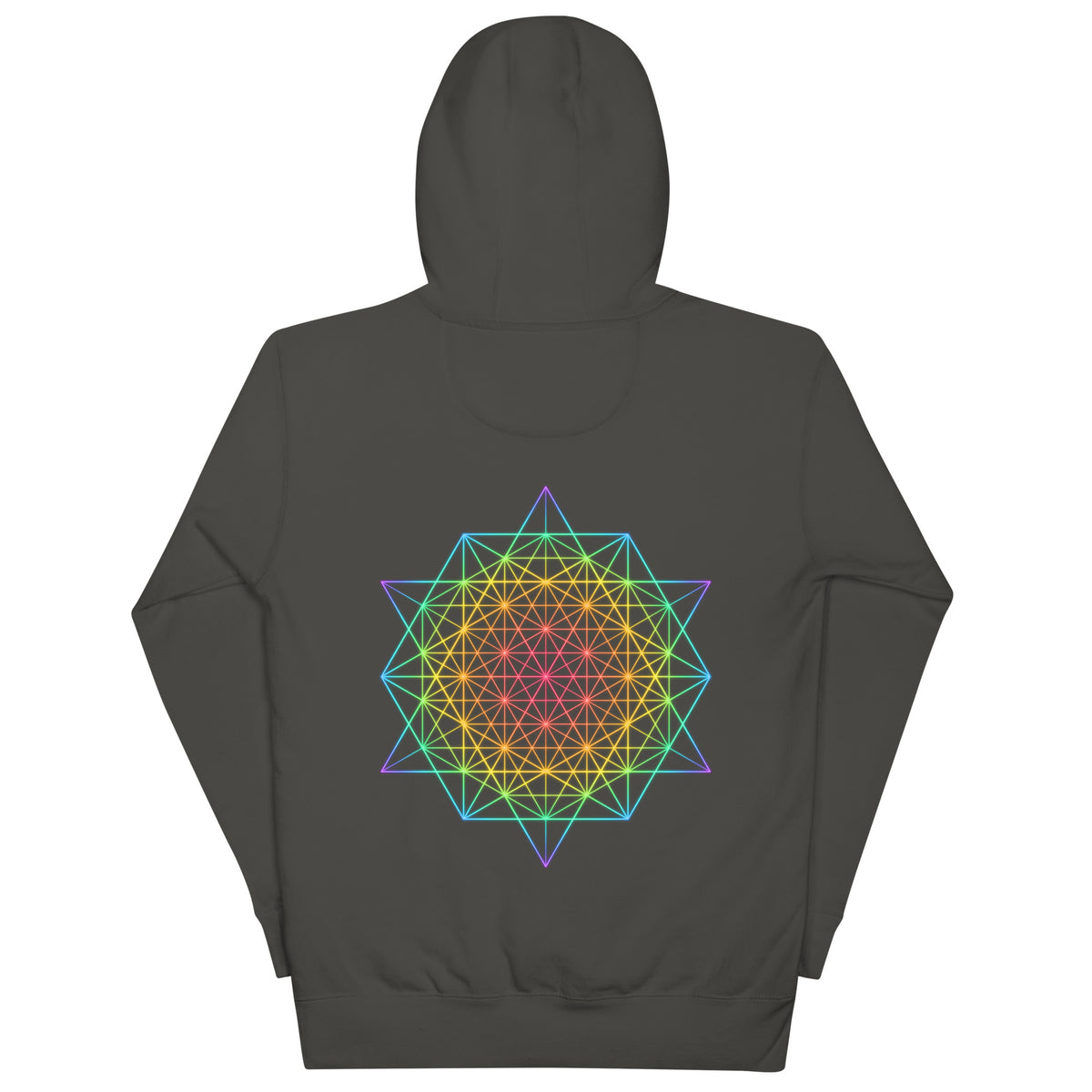 DNA Matrix unisex cotton hoodie in Vintage Black, back view: six-pointed star grid in rainbow colours