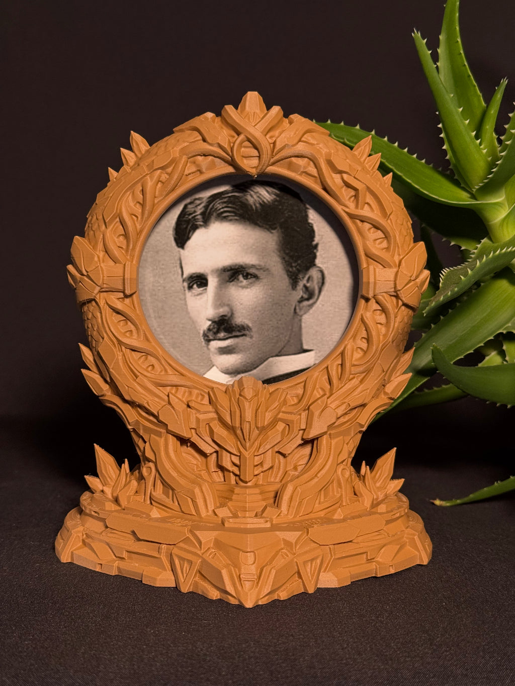 Stargate Picture Frame V4