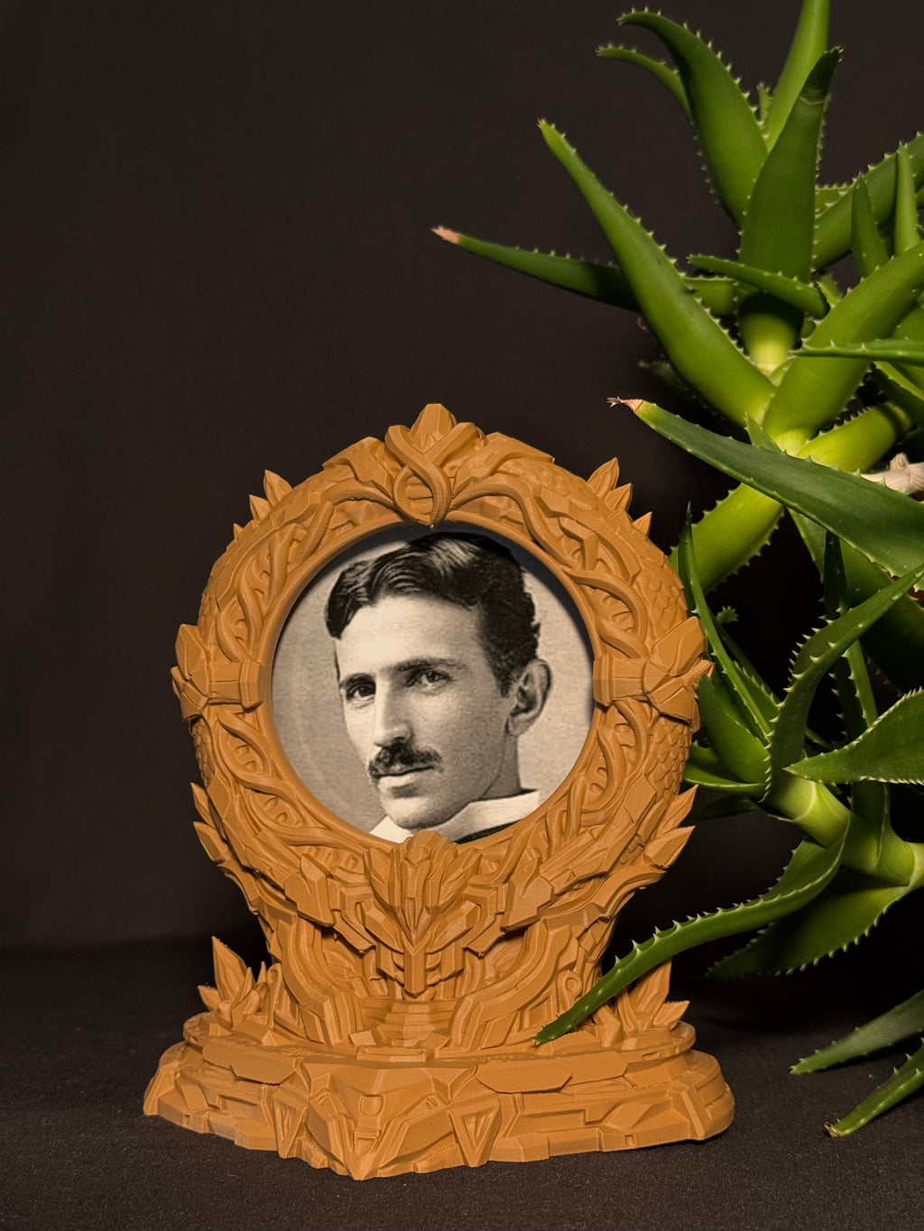 Stargate Picture Frame V4