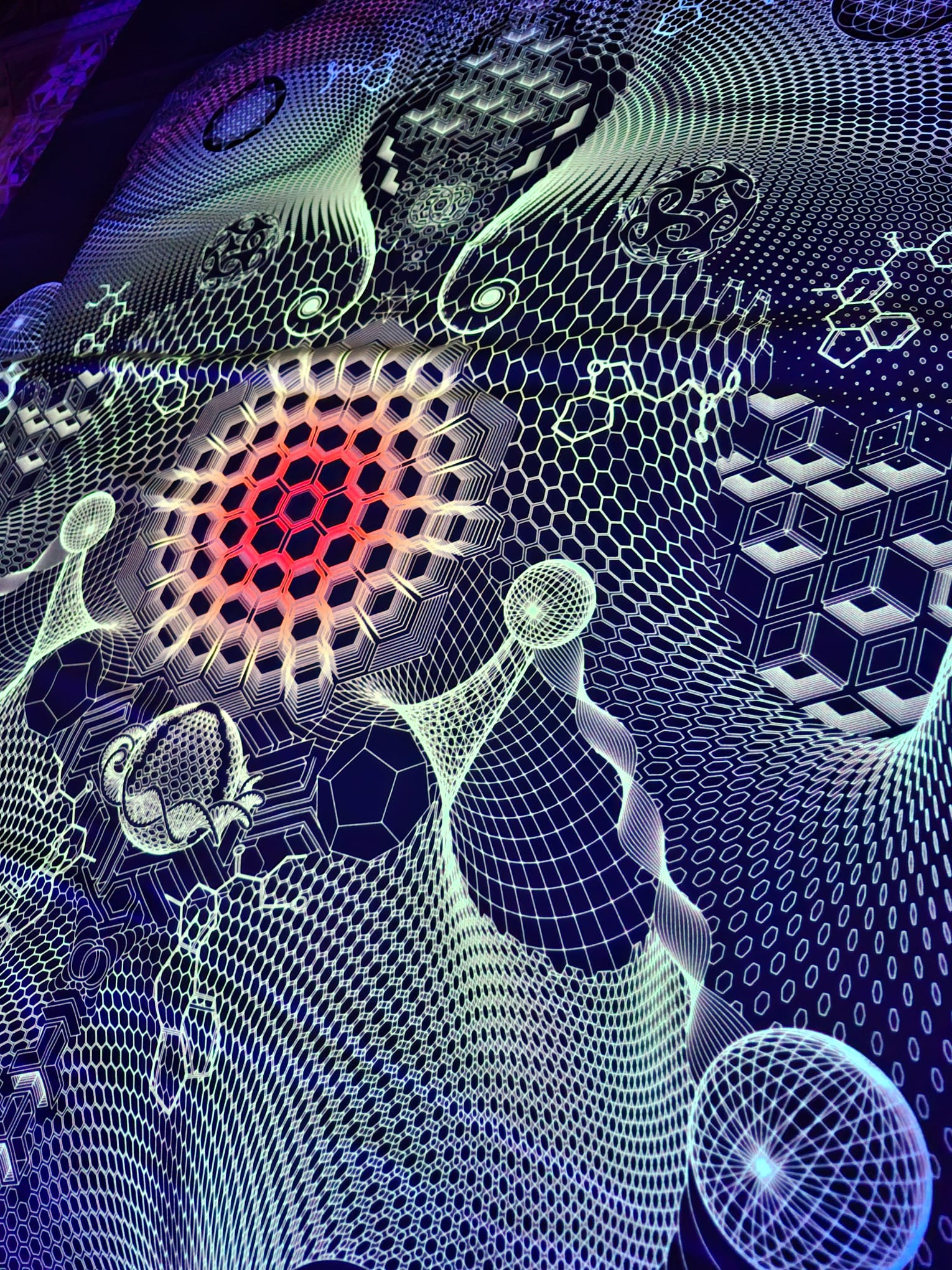 Fractal Entity 150cm x 250cm