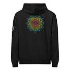 DNA Matrix box hoodie in Black, back view: rainbow star-shaped line grid on the upper back, helix on the left sleeve
