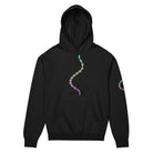DNA Matrix box hoodie in Black, front view: double helix in cyan, yellow, orange, red and violet down the chest