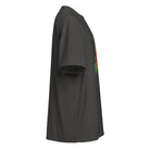 Fractal Triangle Rainbow cotton box t-shirt in Vintage Black, right side view: plain sleeve, edge of the front print