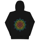DNA Matrix unisex cotton hoodie in Black, back view: six-pointed star grid from violet tips to a pink centre