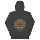 DNA Matrix unisex cotton hoodie in Charcoal Heather, back view: six-pointed star grid in rainbow colours
