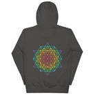 DNA Matrix unisex cotton hoodie in Vintage Black, back view: six-pointed star grid in rainbow colours